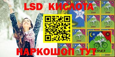 шишки Будённовск