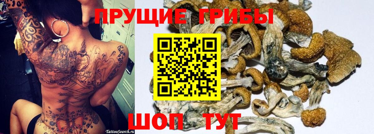 Галлюциногенные грибы мухоморы Кохма